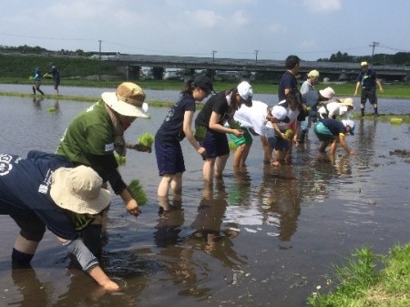 シンシア豊川