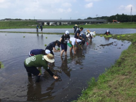 シンシア豊川