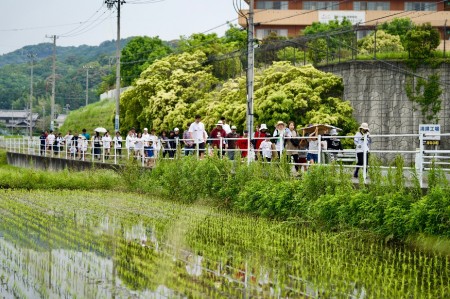 シンシア豊川