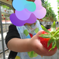 DSC01337