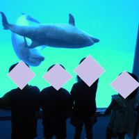 ⑤水族館